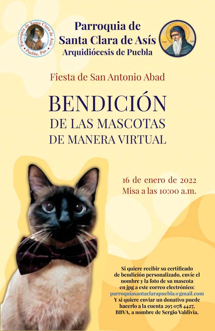 bendicion mascotas en Puebla