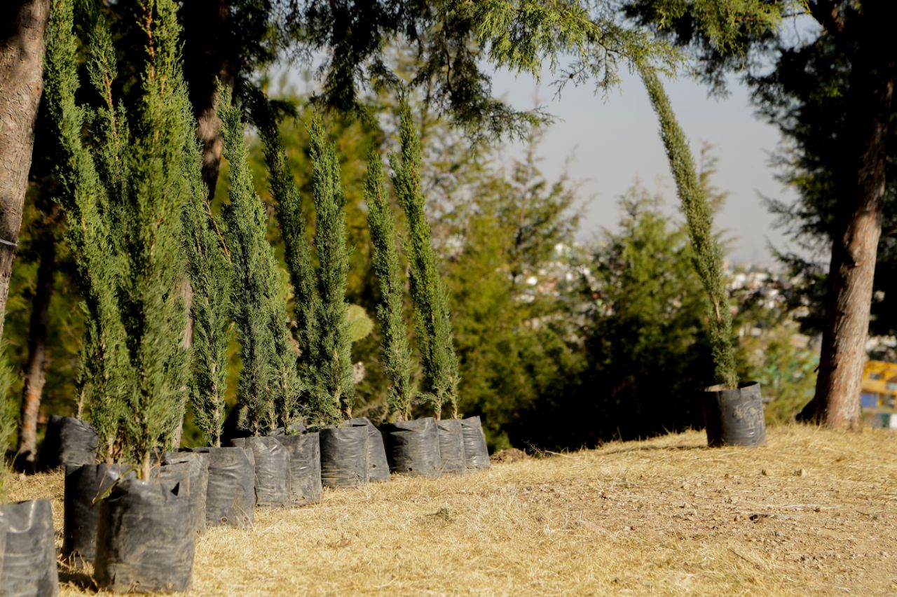 WhatsApp Image 2022 01 13 at 2.02.59 PM