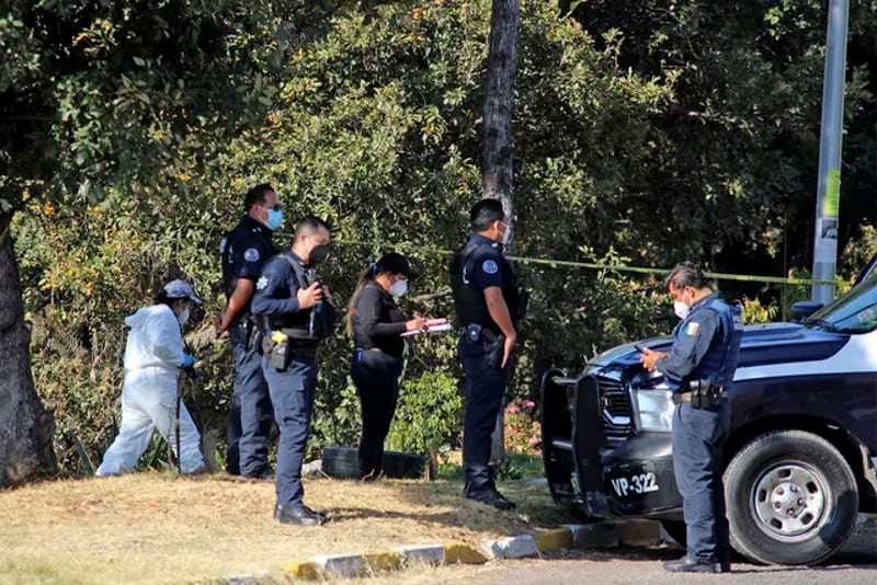 Hallan cadáver desmembrado en Bosques de San Sebastian; el cadaver estaba en la basura
