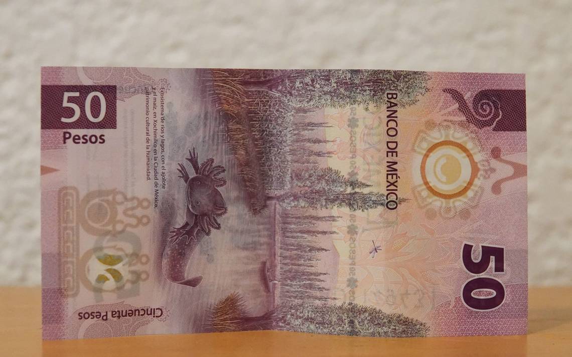 Ofrecen más de 300 mil pesos por peculiar billete de 50 pesos del ajolote
