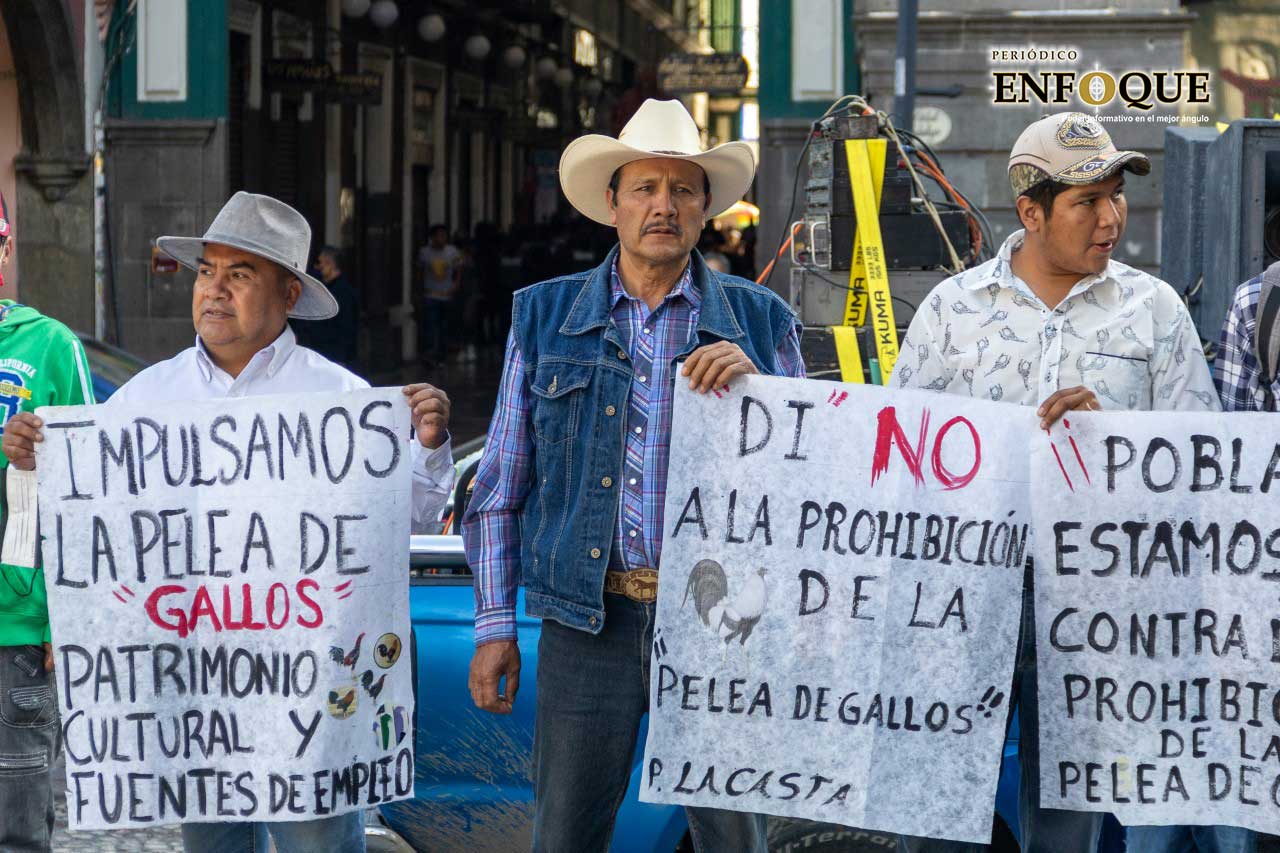 Galleros se manifiestan ante propuesta que prohíbe el combate de aves