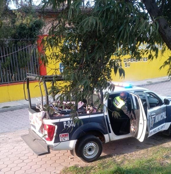 Aseguran a hombre que robó cruces en panteón de San Sebastián Xolalpan