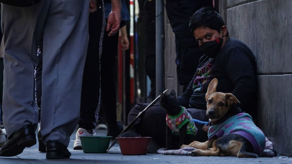 Programas sociales de la 4T no frenaron la pobreza pero evitaron que se disparara: Coneval