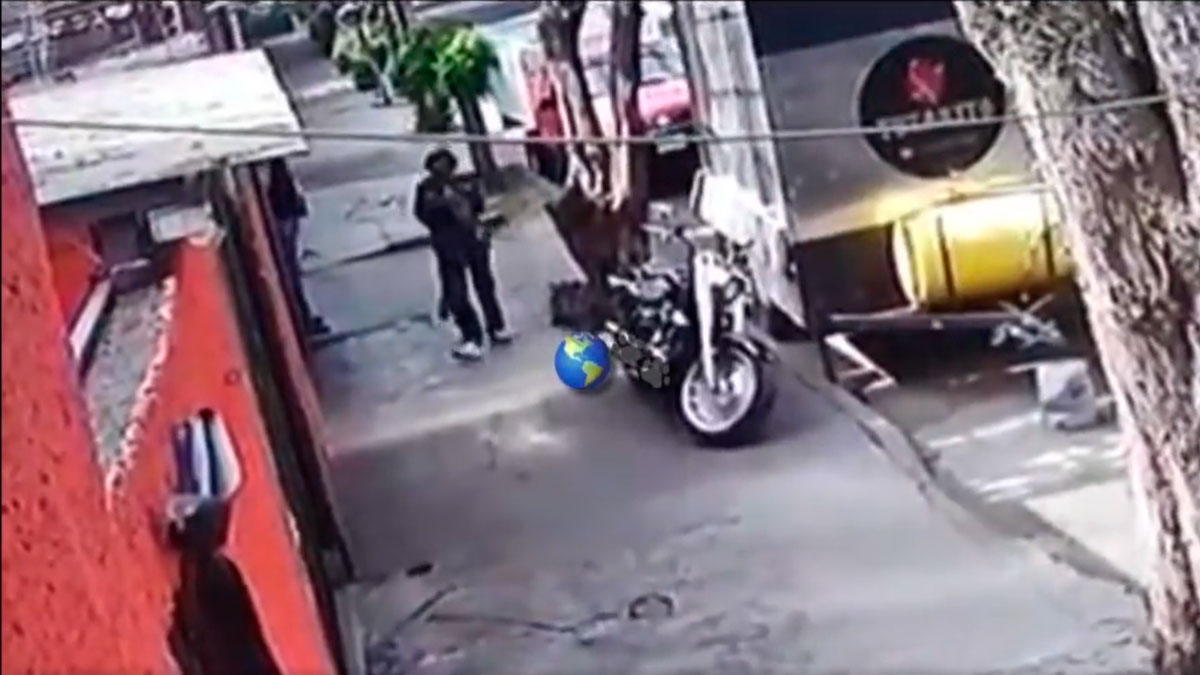 Fiscalía investiga a indigente que come mascotas; fue captado devorando a un gato