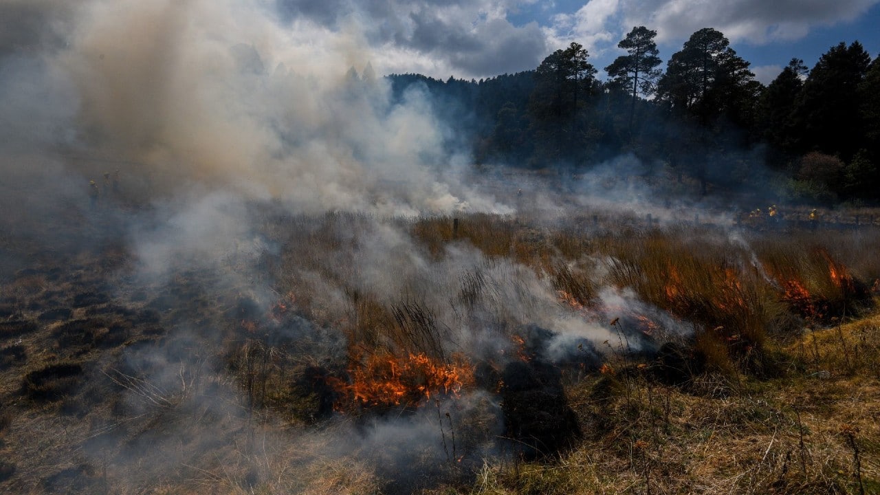 México tiene 33 incendios forestales activos con 4 mil 278 hectáreas afectadas de bosques