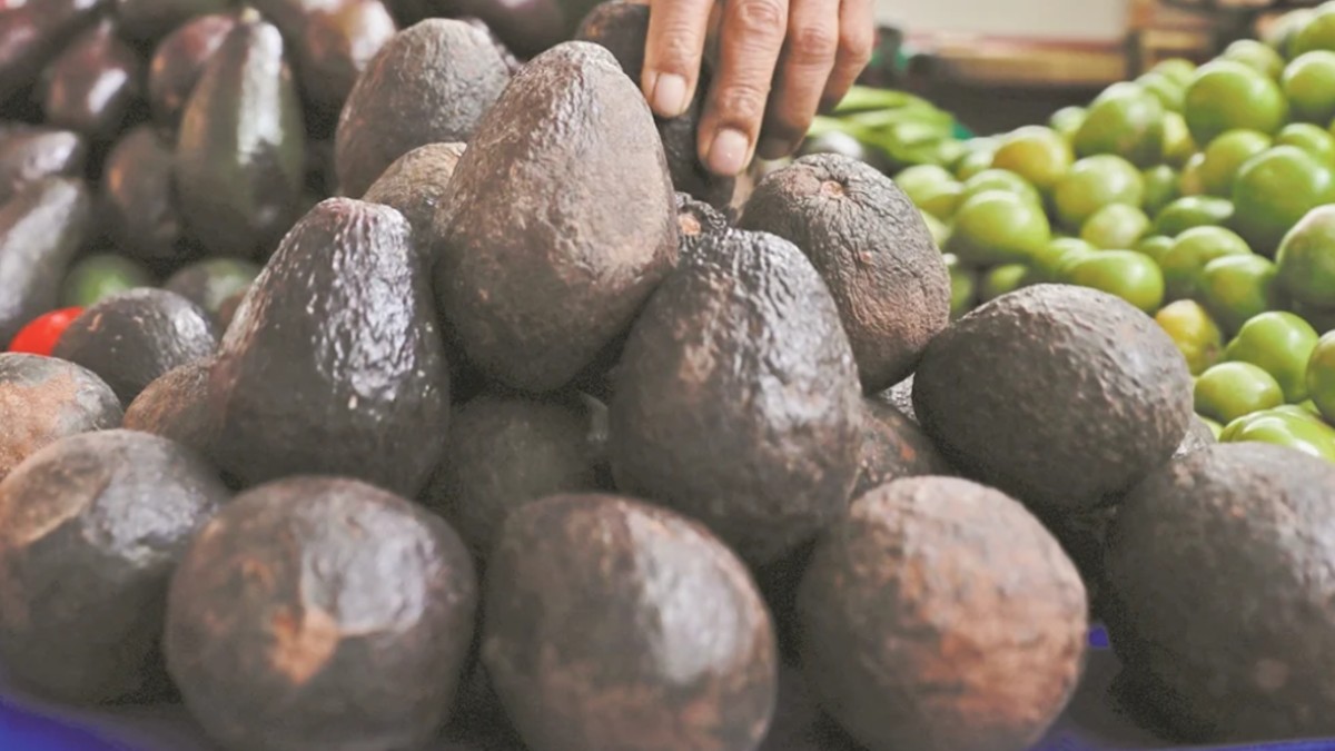 El precio del limón y aguacate alcanzan hasta los 100 pesos el kilo: Profeco