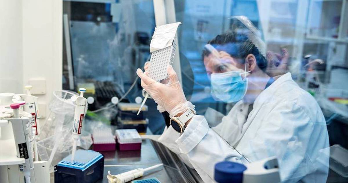 Moderna informa la probabilidad que hay de que surja una variante de COVID más peligrosa