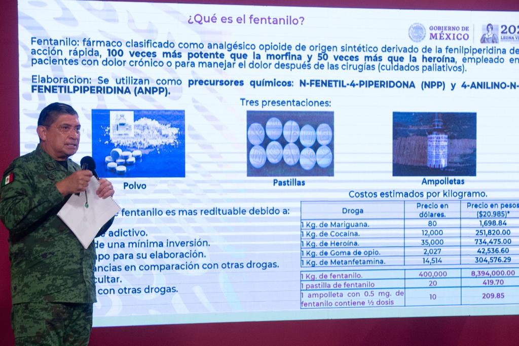 El fentanilo llega desde Asia y entra por puertos de Michoacán para su producción: Sedena