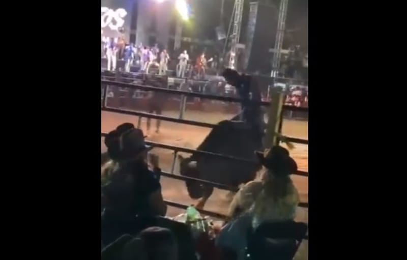 Jaripeo se sale de control; toro ataca a espectadores tras remover vaya de seguridad (Video)