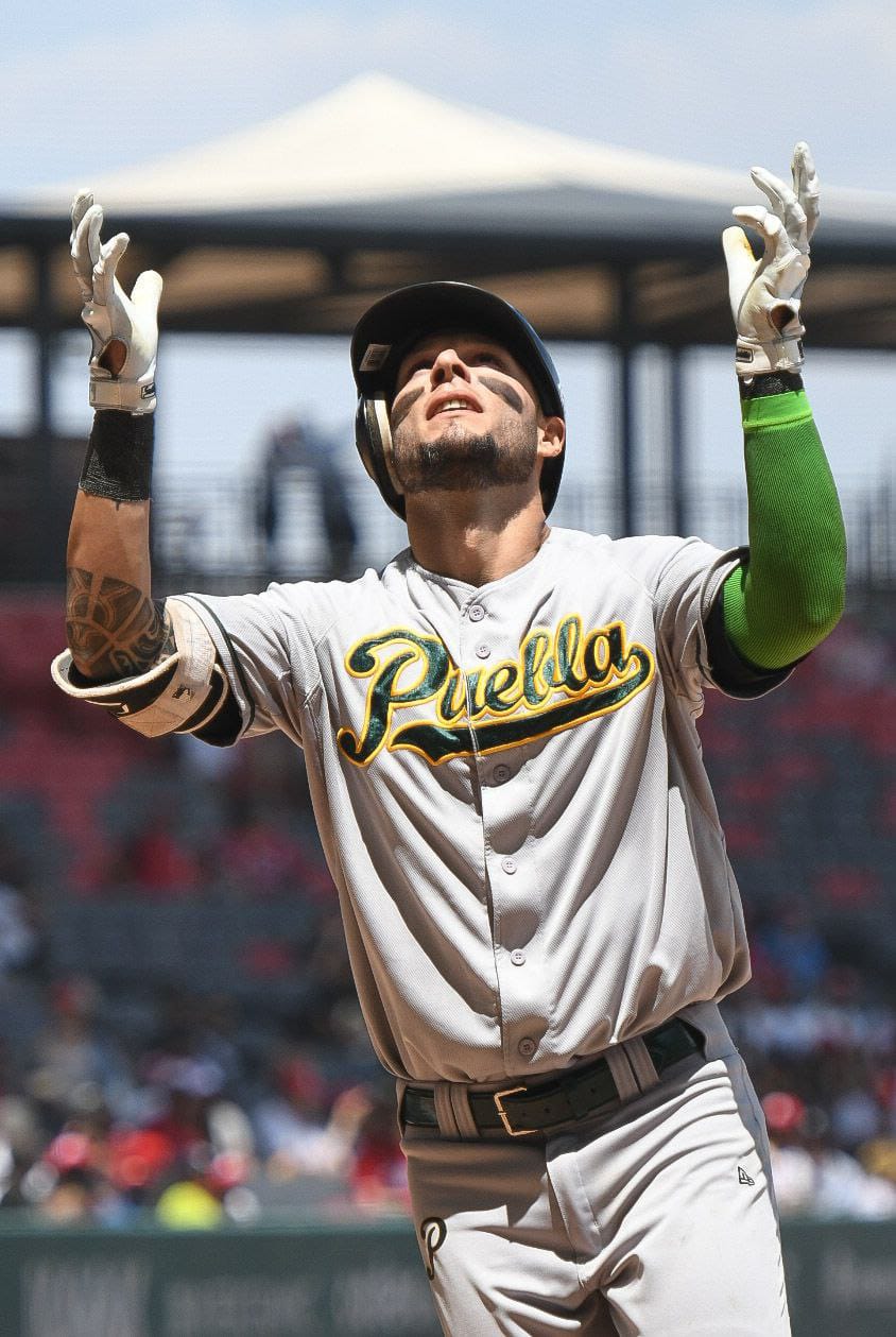 Pericos regresa a casa para arrancar serie ante Leones de Yucatán