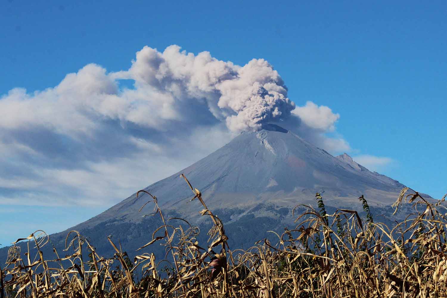 Actividad volcánica: Popocatépetl registró 30 emisiones en las últimas 24 horas