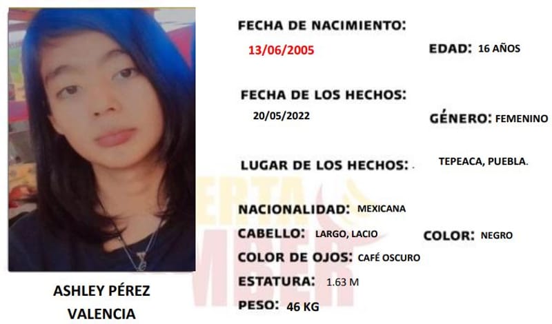 Ashley Pérez, de 16 años, desapareció en Tepeaca; ayuda a que regrese a casa