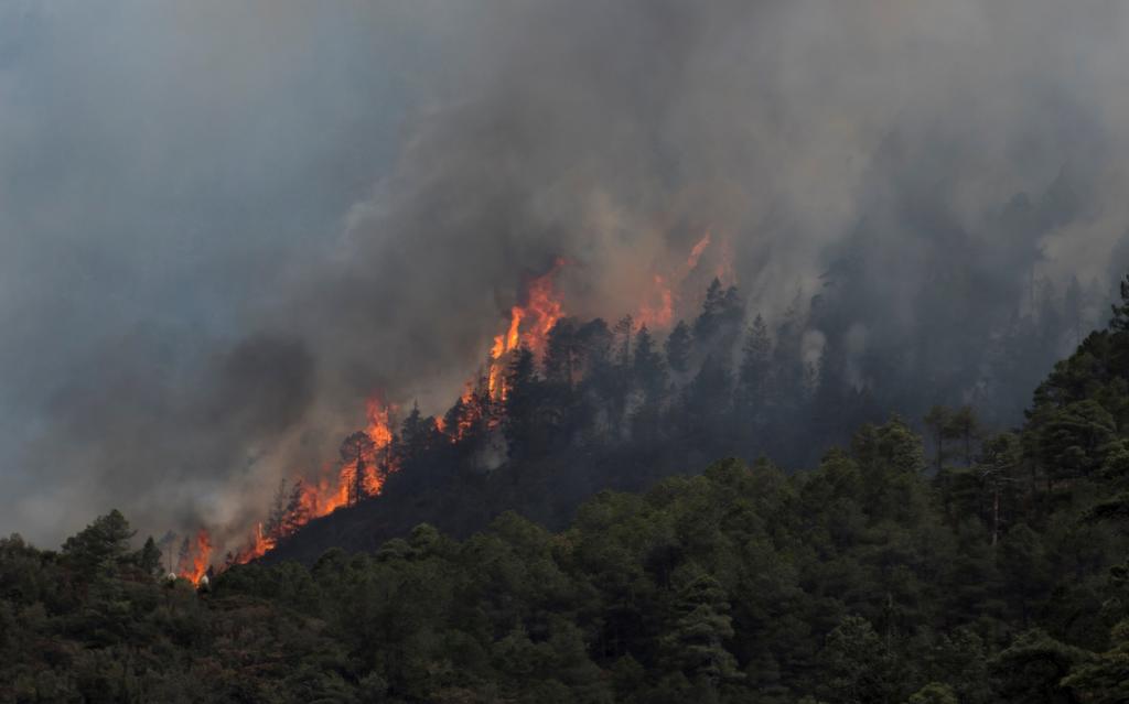 Ya son 81 los incendios forestales activos en México