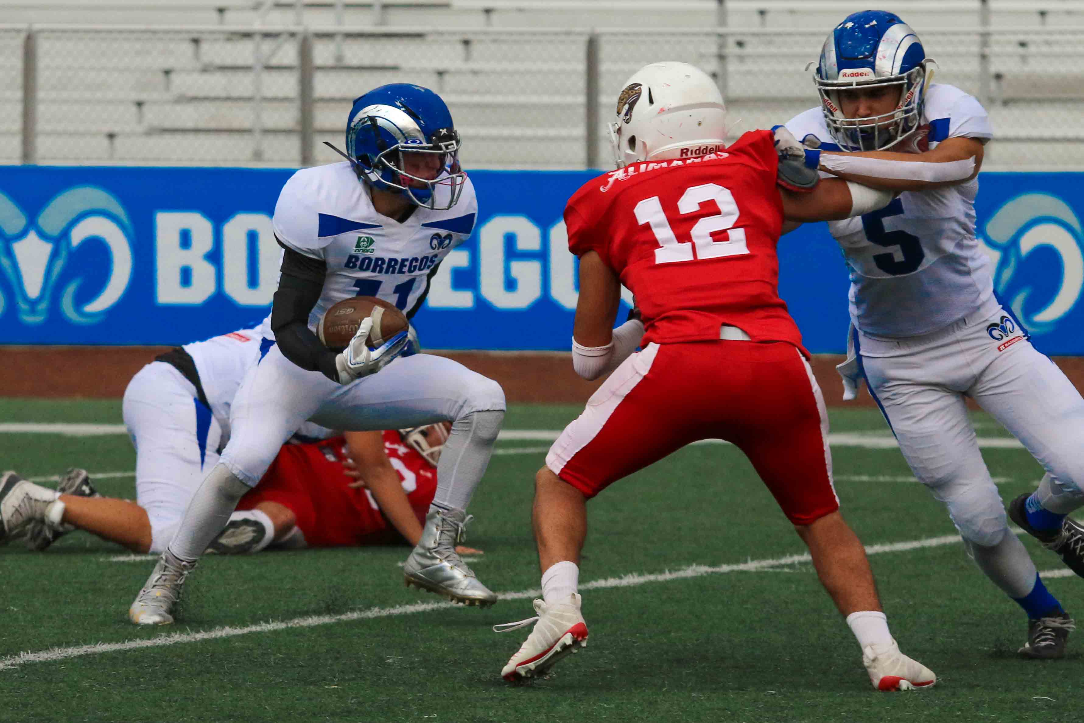 Borregos Puebla sigue imparables en la Onefa