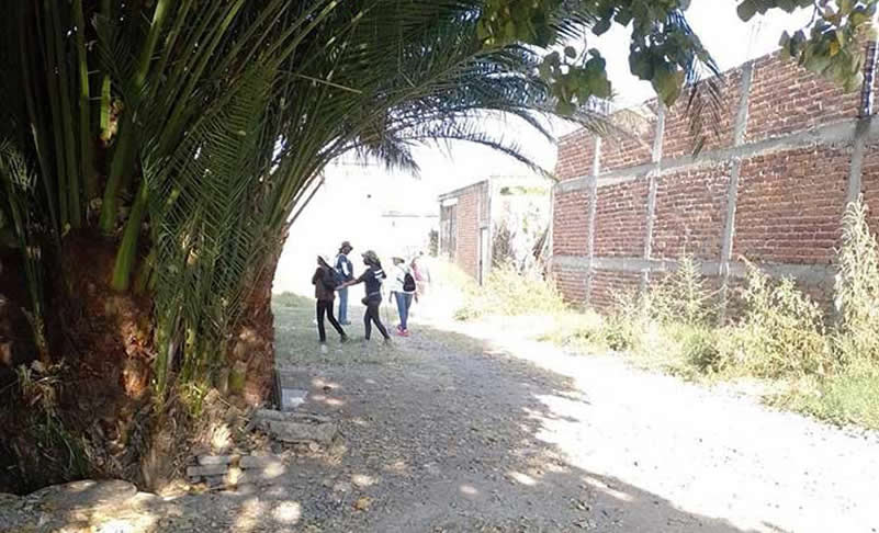 Perro con restos humanos en el hocico conduce al hallazgo de mega fosa clandestina en Irapuato