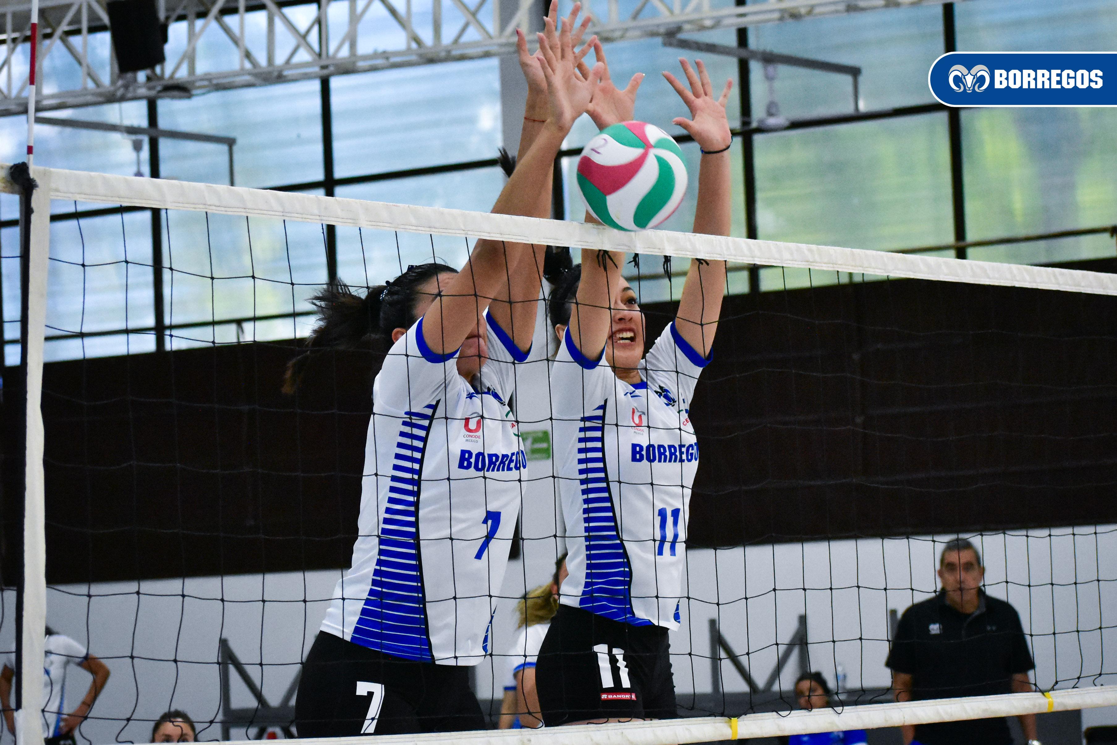 Borregos Puebla buscar brillar en voleibol 