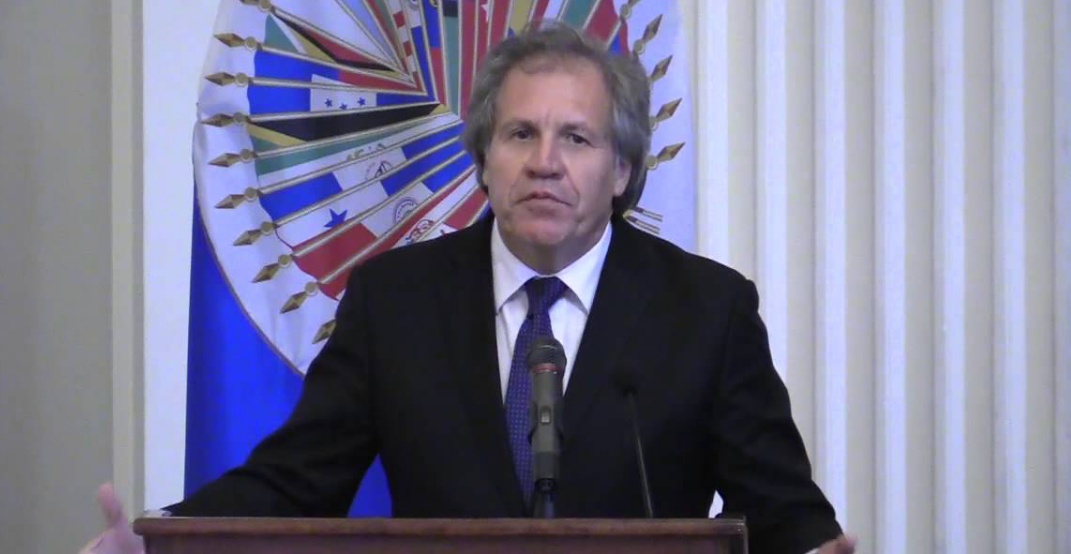 Solicita Gobierno de EEUU  investigación externa a jefe de la OEA