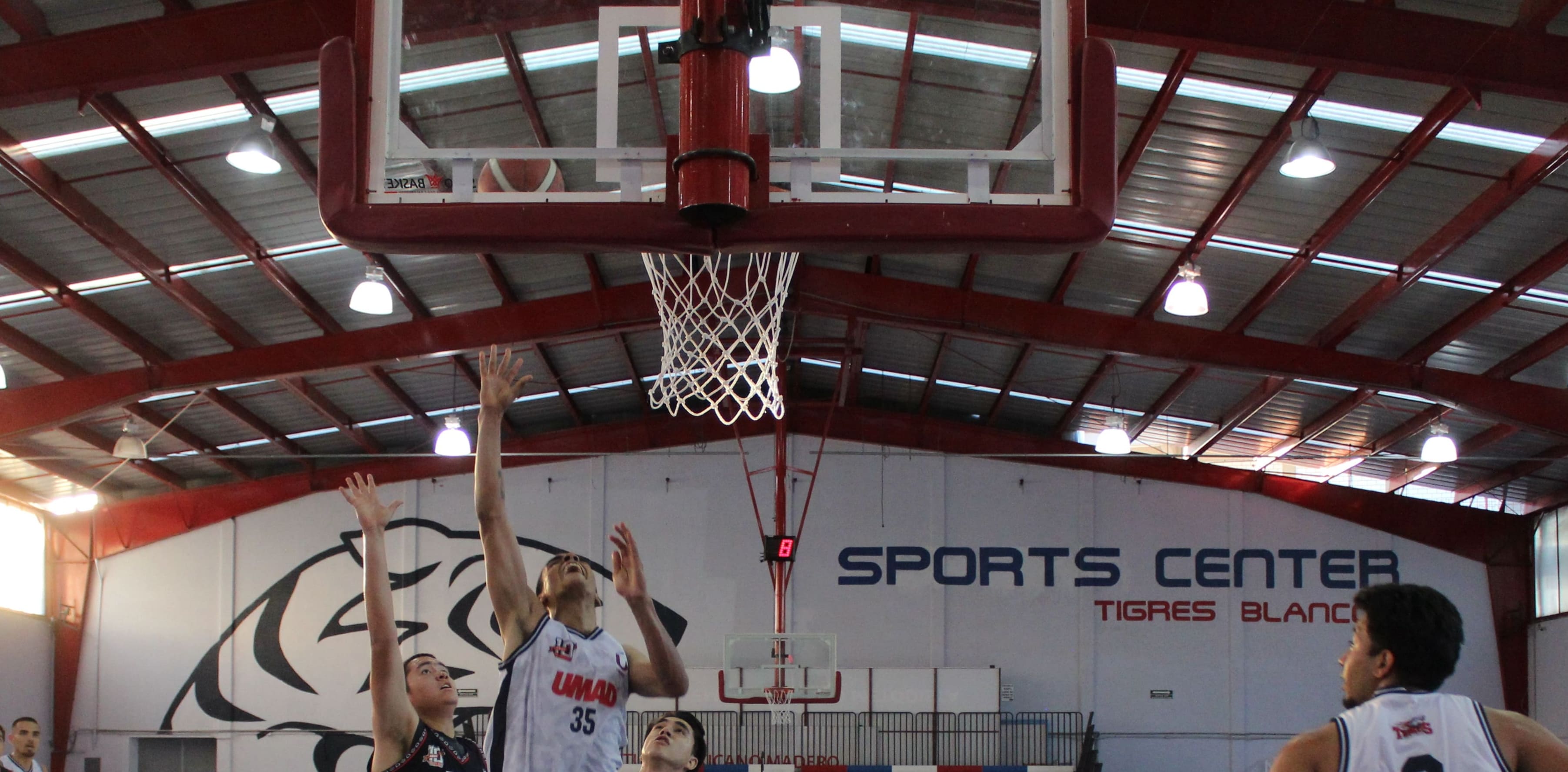 Tigres Blancos de la UMAD se confirmaron como una de los mejores de la Liga ABE 