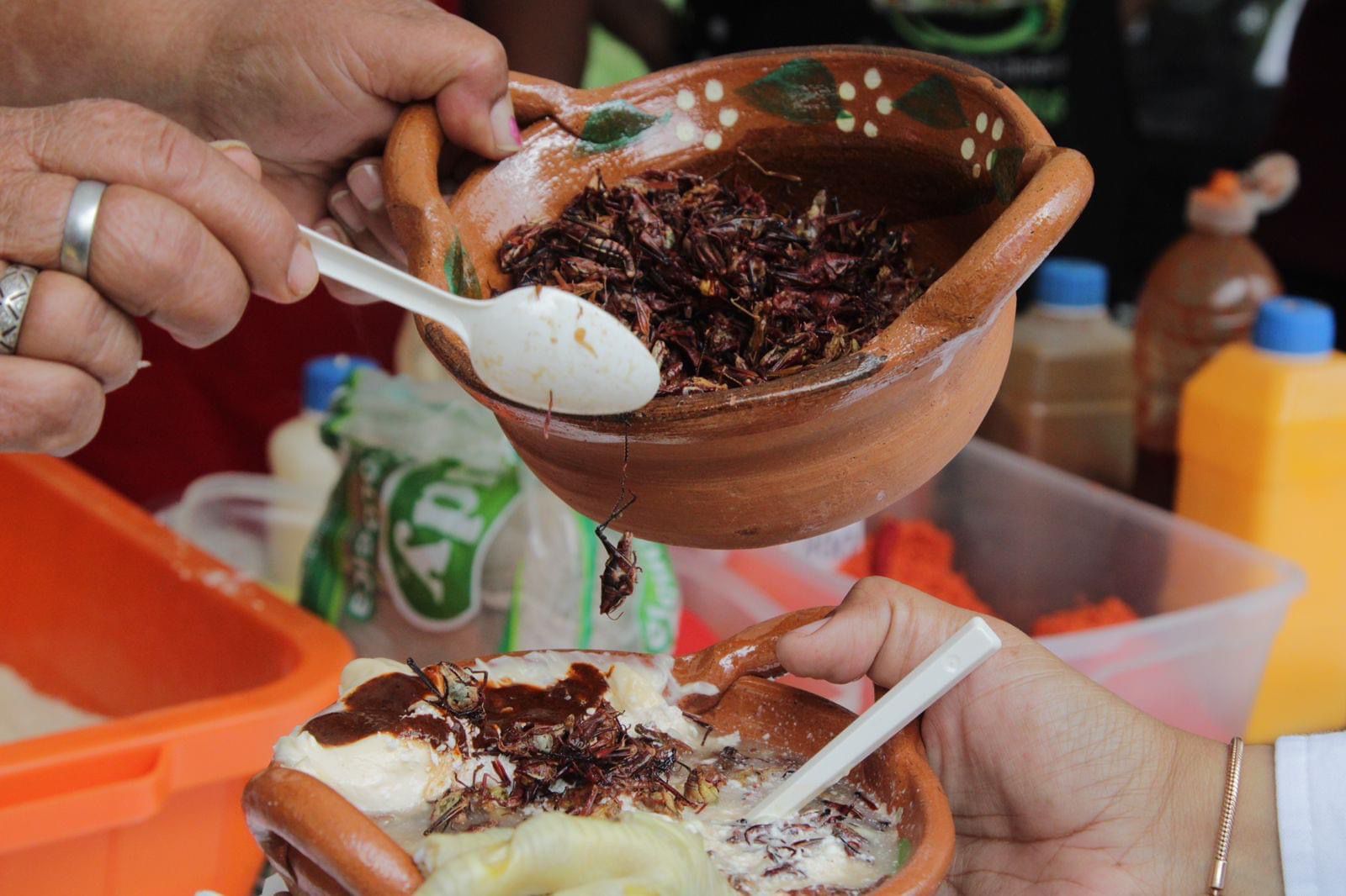 Atlixco anuncia su Feria del Elote; no te quedes con el antojo de probar todas las variedades con las que puedes degustar este grano