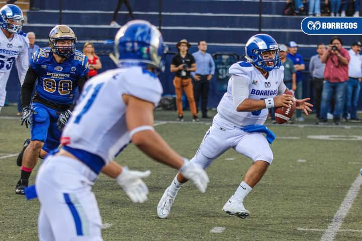 Borregos Puebla va por su pase a playoffs en la Onefa 