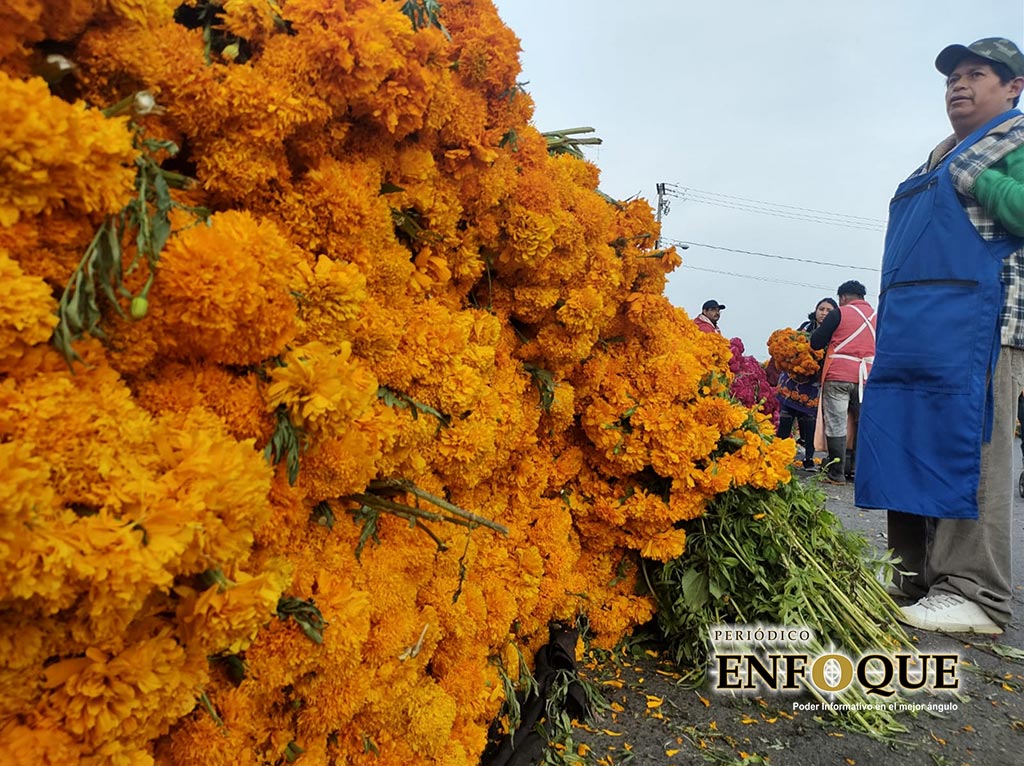 Inicia la venta de la flor del muerto en la región de Tepeaca 