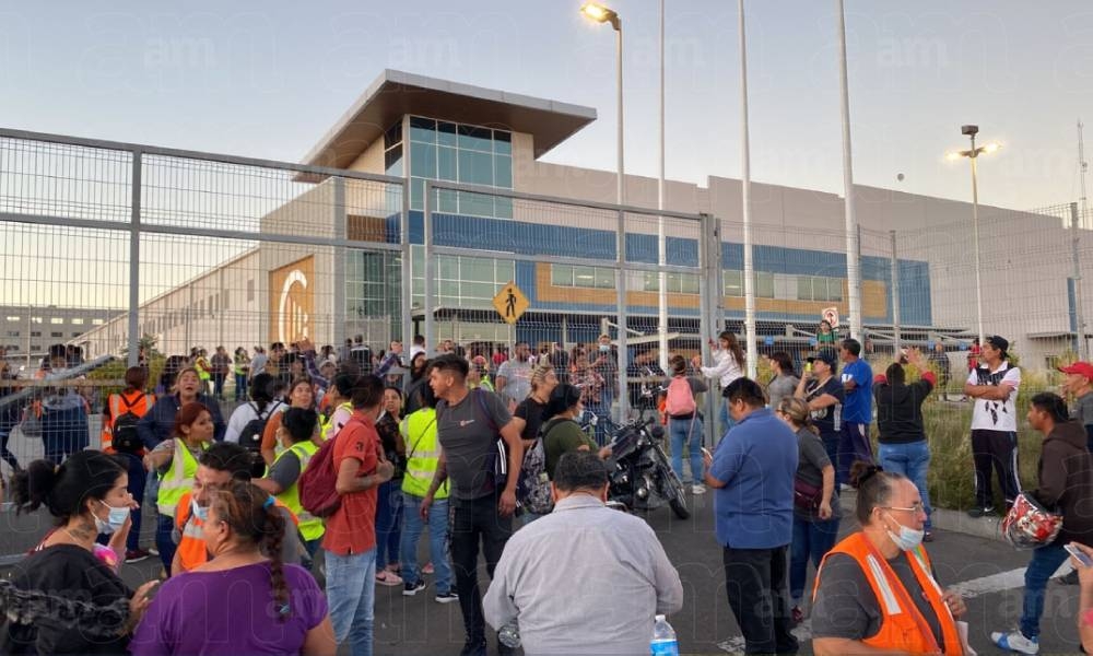 “Despido masivo por un mensaje de WhatsApp”: Empresa despide a 1100 empleados tras cerrar planta