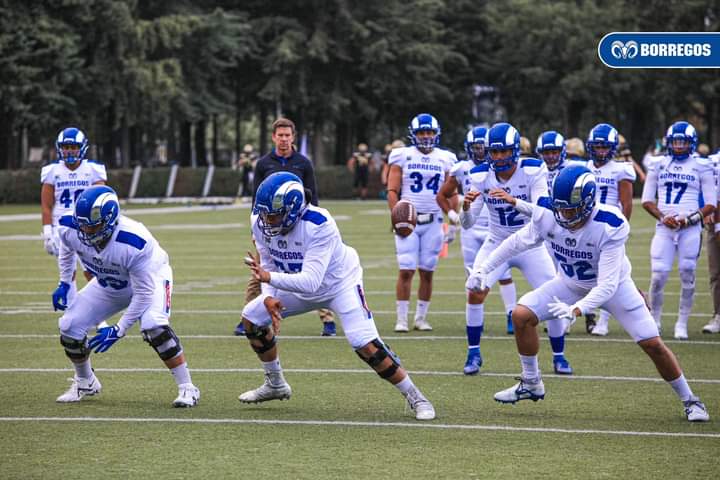 Borregos Puebla se prepara para recibir a Burros Blancos del Politécnico