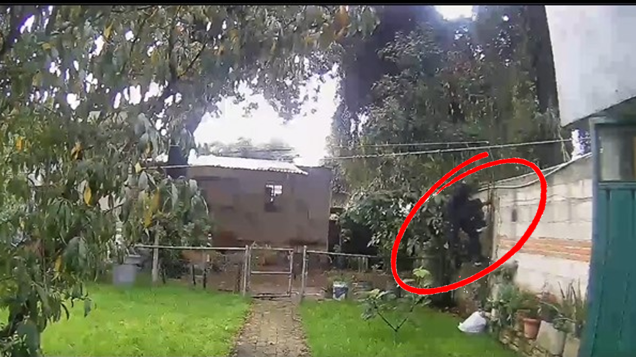 Cámara de Seguridad capta un posible robo en un domicilio de San Pedro Cholula 