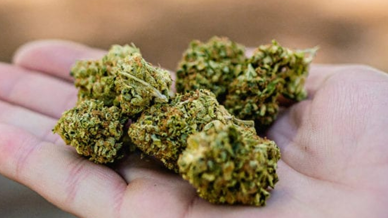 Se realizará en San Andrés Cholula el “Toque Fest”