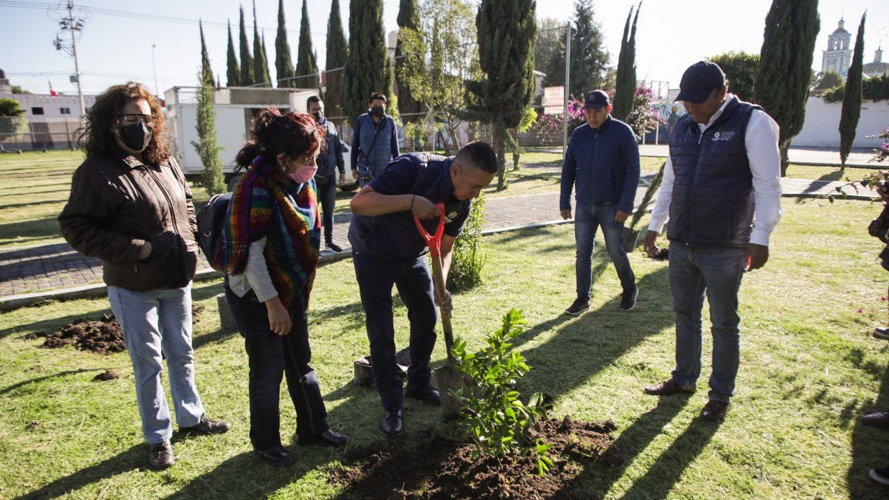 Continúan las Jornadas de Reforestación en San Andrés Cholula 