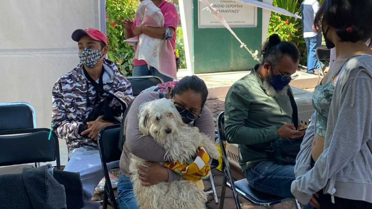 En San pedro Cholula; regresan las jornadas de esterilización gratuitas para mascotas