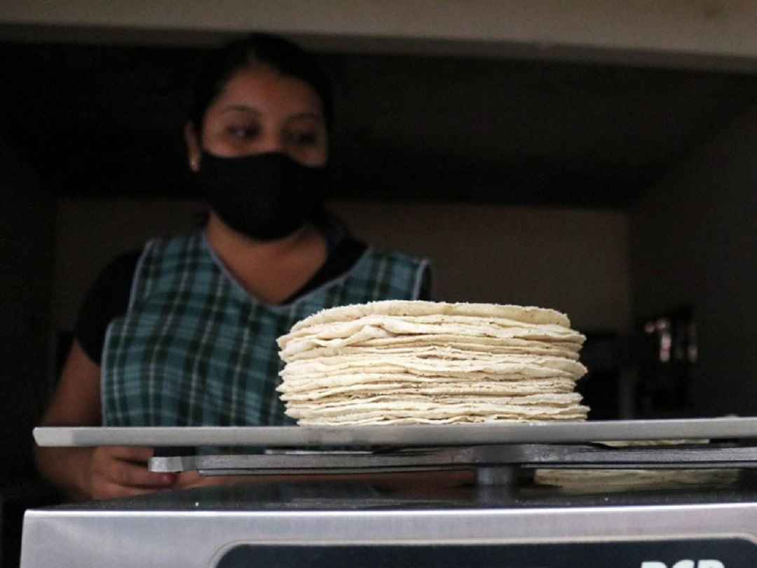 Precio de la tortilla presenta aumento en estos estados
