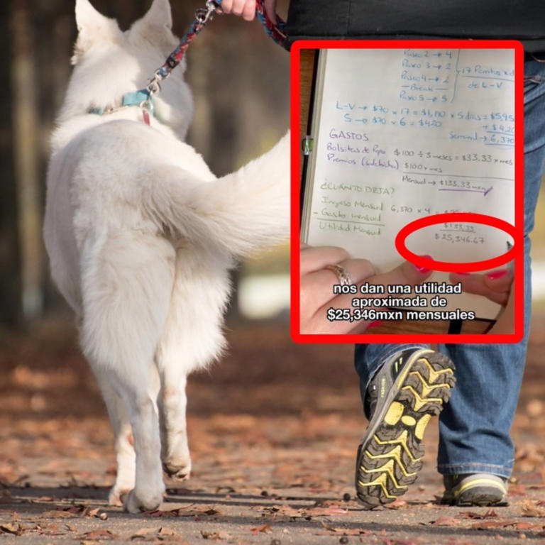 Joven muestra cómo ganar 25 mil pesos al mes por "pasear perros" (Vídeo)