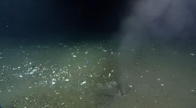 Fuga de líquido en el océano Pacífico relacionado con la falla de Cascadia: ¿Próximo terremoto de magnitud 9?