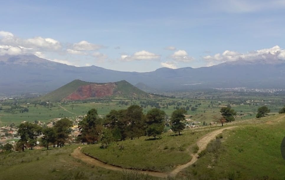 Invita Paola Angon a la primera jornada de reforestación del Zapotecas este 6 de agosto