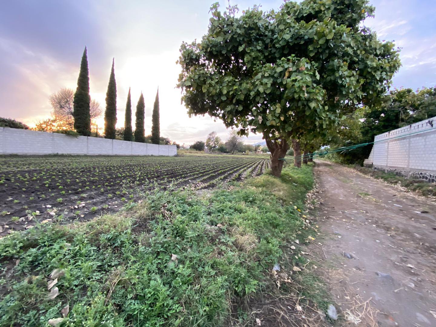 CAMINOS SACACOSECHA 1