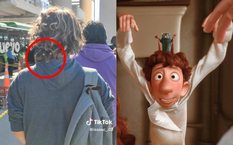 "¿Chefsito eres tu?": Captan a joven caminando con una rata en su cuello