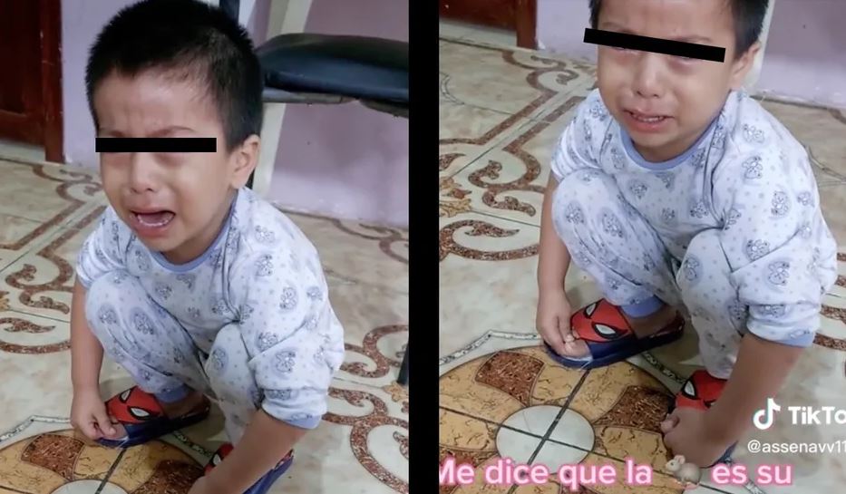 “Es un bebé, su mamá llora”: Niño llora al ver que su madre caza y mata un ratón, reacción se hace viral (Vídeo)