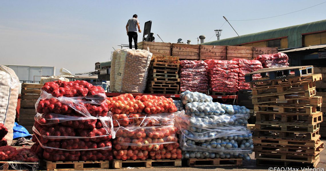 En 2022 precios mundiales de los alimentos alcanzaron un máximo histórico