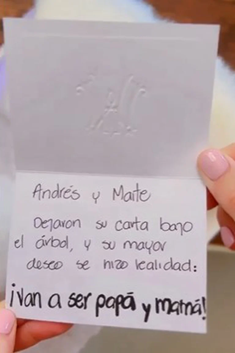 embarazo maite