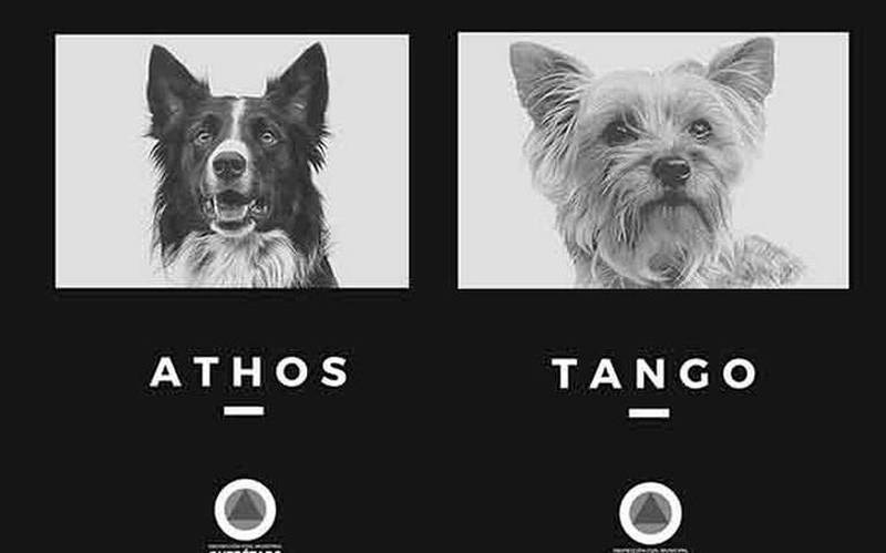 Muerte de Athos y Tango: ¿por qué el homicida sigue libre pese a la sentencia?