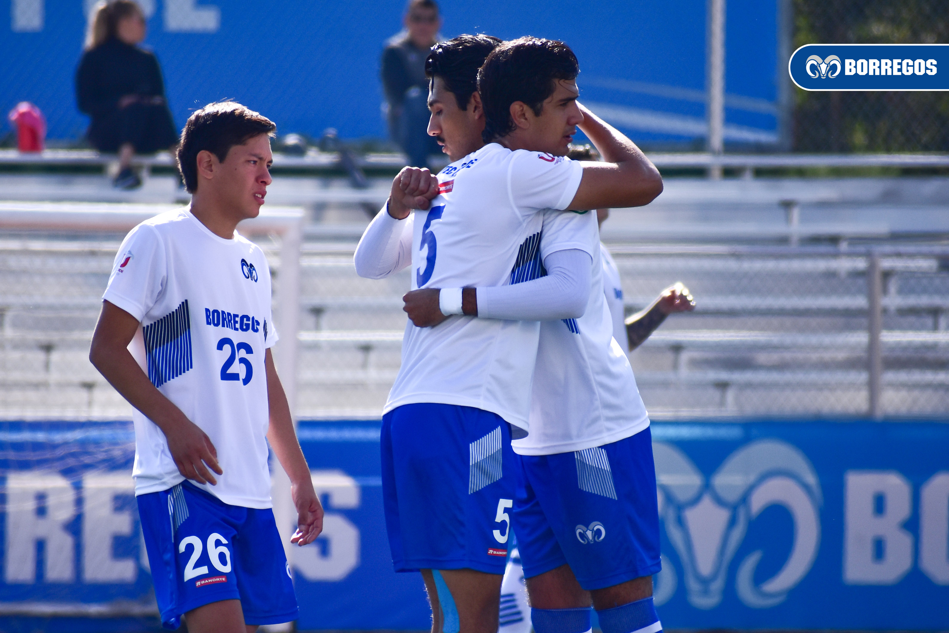 Borregos Puebla sueña con la clasificación 