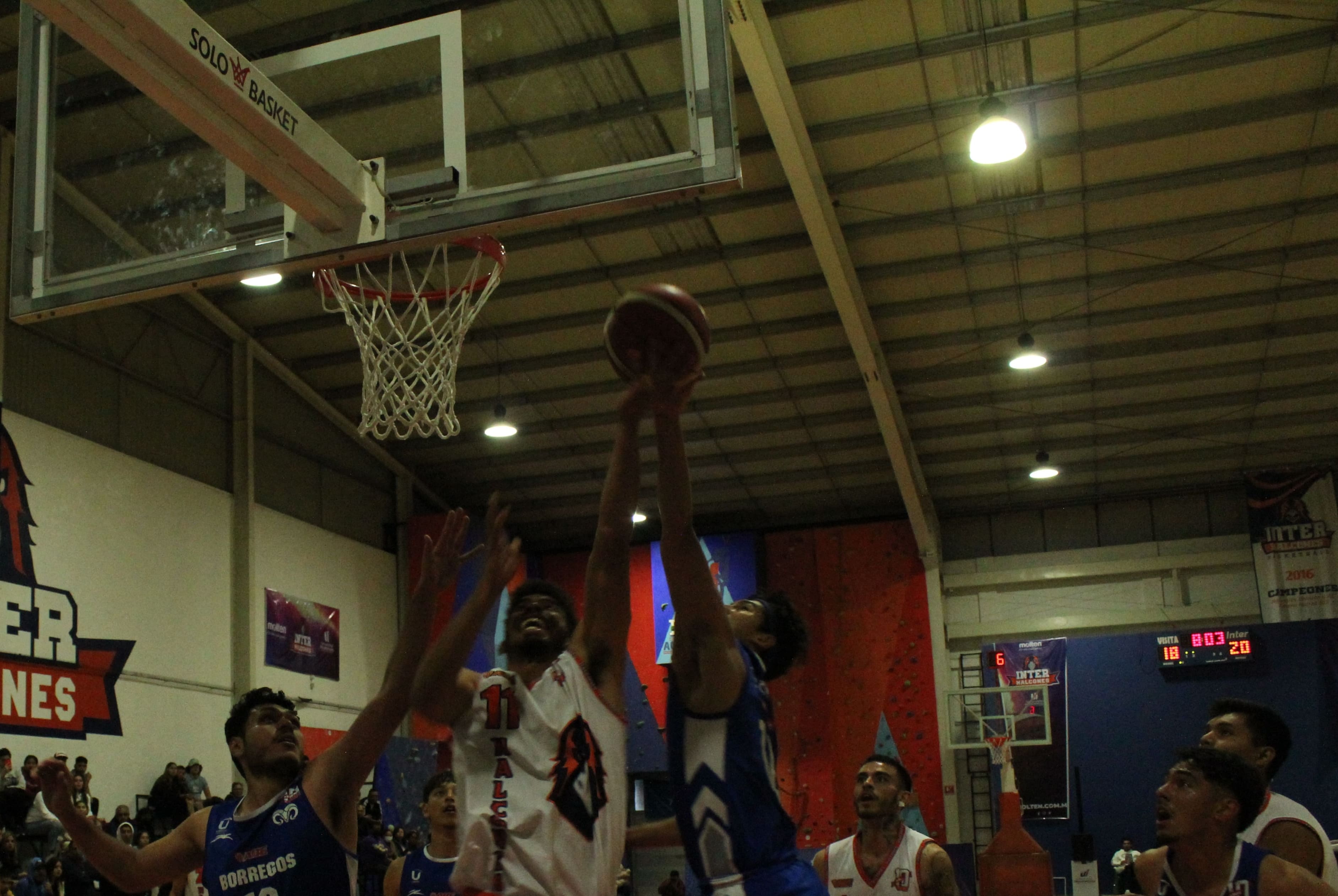 Halcones de la Inter vuelan al Ocho Grandes de la Liga ABE 