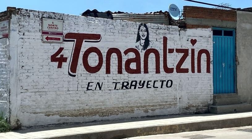 La diputada Tonantzin Fernández pide despintar bardas publicitarias a su favor en SPCH