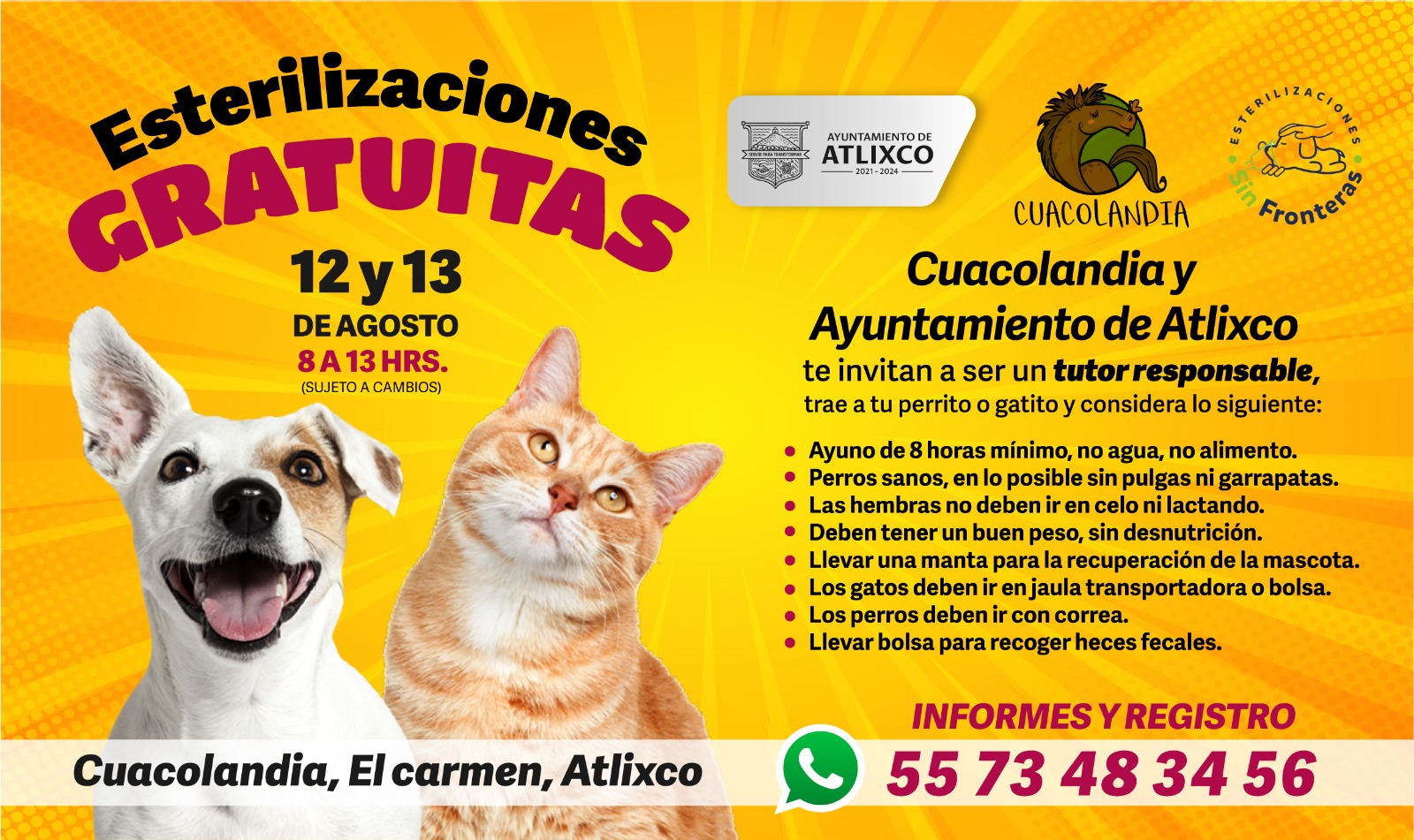 ESTERILIZACIONES GRATUITAS