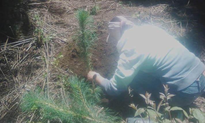 Calpenses siembran 5 mil árboles en el bosque Izta-Popo