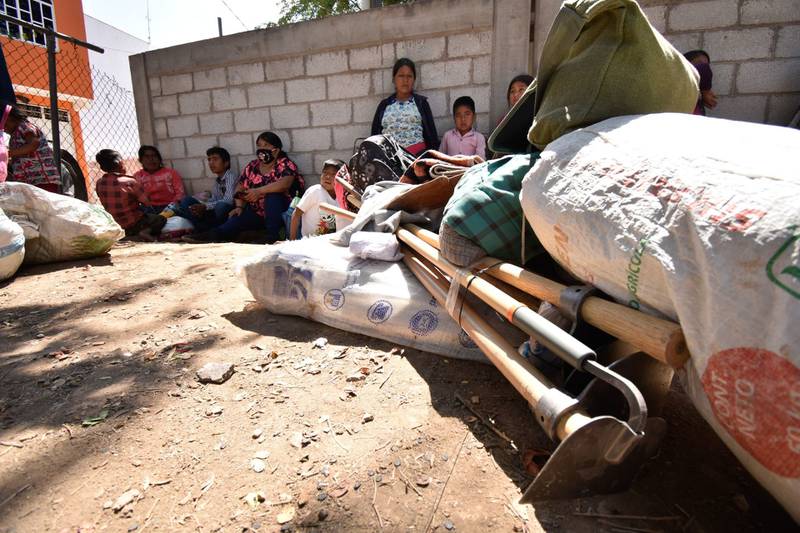 ¿Qué pasa en las cuarterías de Sinaloa? Más de 50 niños hijos de jornaleros están enfermos