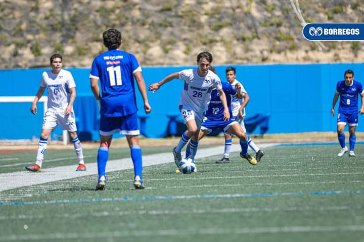 Borregos Puebla, a matar o morir en el Campeonato Telmex Telcel 