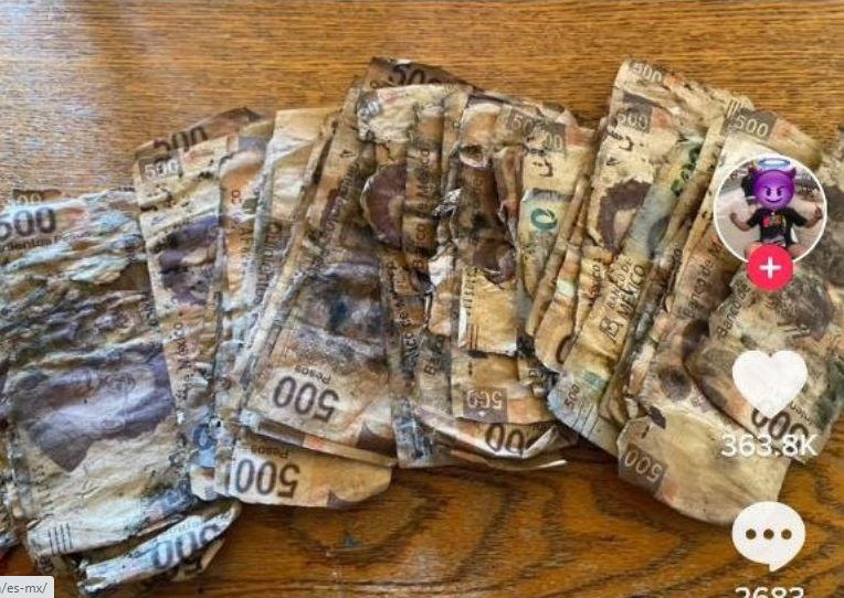 Hombre pierde sus ahorros por enterrarlos bajo tierra, suceso se hace viral (Vídeo)