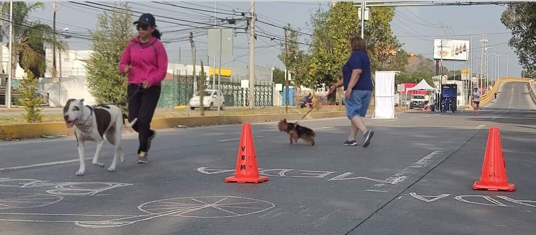 Mayor vigilancia vial, menor participación de ciclistas en la Recta a Cholula ante reactivación de la “Vía Recreativa Metropolitana”